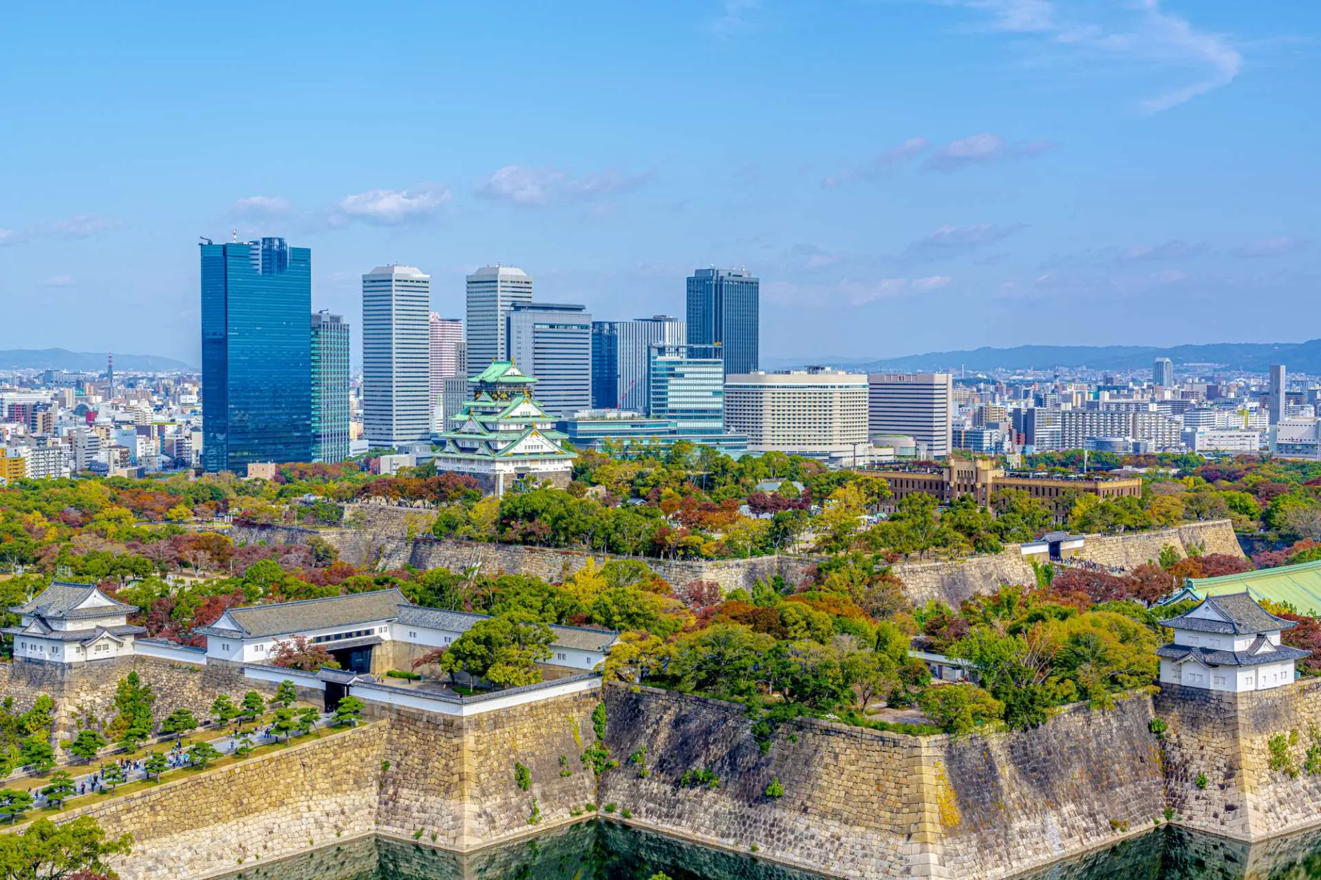 ヘッドバナー画像